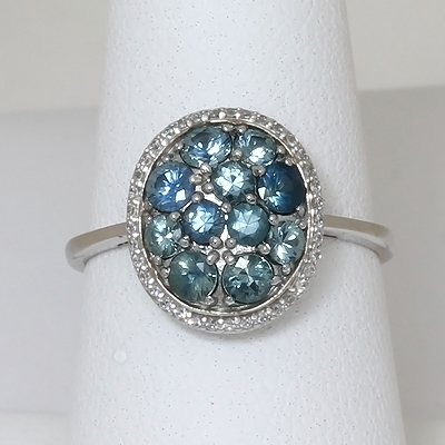 Montana Sapphire & Diamond 14kt Gold Scatter Ring